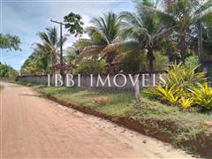 Lindo Sítio / Povoado Coqueiros Bem Localizado 1