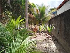 Lindo Sítio / Povoado Coqueiros Bem Localizado 10