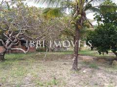 Lindo Sítio / Povoado Coqueiros Bem Localizado 14