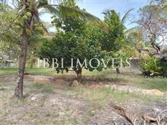 Lindo Sítio / Povoado Coqueiros Bem Localizado 2