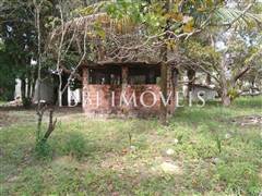 Lindo Sítio / Povoado Coqueiros Bem Localizado 3