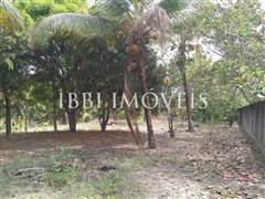 Lindo Sítio / Povoado Coqueiros Bem Localizado 5