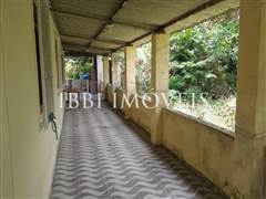 Lindo Sítio / Povoado Coqueiros Bem Localizado 6