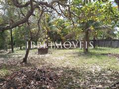 Lindo Sítio / Povoado Coqueiros Bem Localizado 7