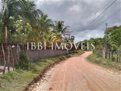 Lindo Sítio / Povoado Coqueiros Bem Localizado 8