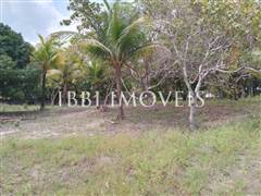 Lindo Sítio / Povoado Coqueiros Bem Localizado 9