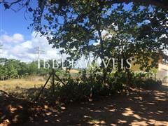 Lote Bem Localizado 5