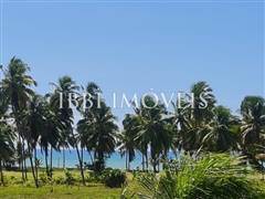 Lote Perto Do Mar  2