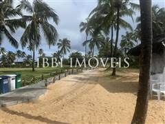 Lote Perto Do Mar  6