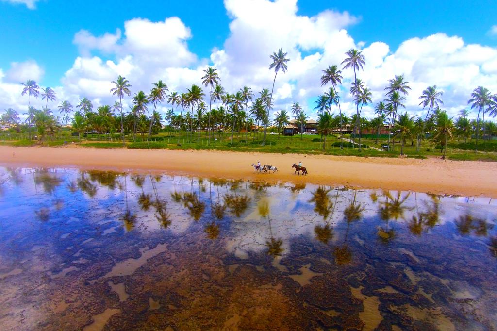 Praia do Forte - Melhor Casa Beira-Mar