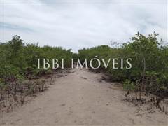 Oportunidade! Casa 1/4 Com Terreno De 500M² 14