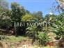 Great Land In Pond Street 6