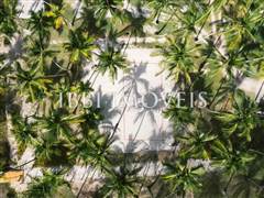 Pe Na Areia Oasis Em Santo Andre 8