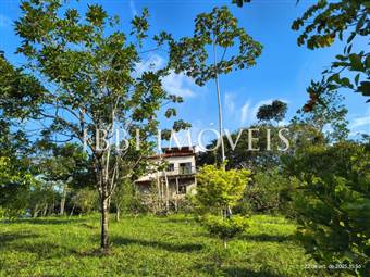 8.5 Hectare Farm in the Village of Tremembé 3