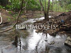 Sítio 8,5 Hectares No Povoado De Tremembé 7