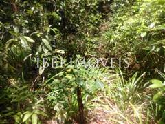 Site Well Located With Access To Pitinga Beach Club Med / Land View 10