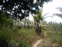 Site Well Located With Access To Pitinga Beach Club Med / Land View 5