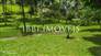 Site with a view and privileged location 1