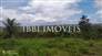 Site with a view and privileged location 8