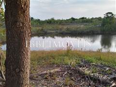 2 Hectare Property with Several Springs 2