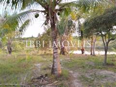 2 Hectare Property with Several Springs 3