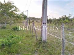 2 Hectare Property with Several Springs 10