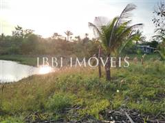 2 Hectare Property with Several Springs 12