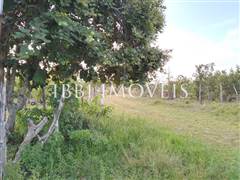 2 Hectare Property with Several Springs 13