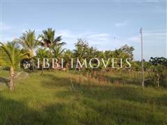 2 Hectare Property with Several Springs 14