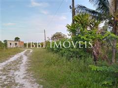 2 Hectare Property with Several Springs 15