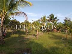 2 Hectare Property with Several Springs 6