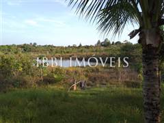 2 Hectare Property with Several Springs 7