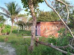 2 Hectare Property with Several Springs 8