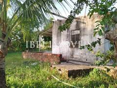 2 Hectare Property with Several Springs 9