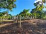 3,000m² Land Full of Fruit Trees  3