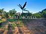 3,000m² Land Full of Fruit Trees  4
