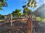 3,000m² Land Full of Fruit Trees  8