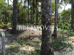 Land Beira Mar with 6,000m2 14