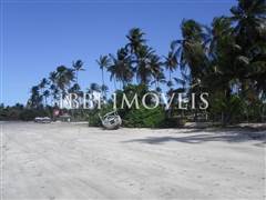 Ocean Front Lot With 102.800M2 Totaling 10