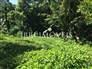 Land with 300m² 8