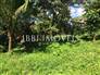 Land with 300m² 9