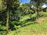 Land with 300m² 11