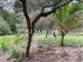 Land with 503M² 9