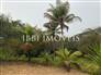 Land with 503M² 4