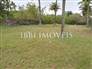 Land with 503M² 8