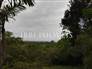 Land with 503M² 11