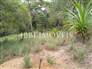 Land with 503M² 13