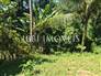 Terreno Com 700M² 13