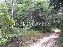 Land with great location and preserved vegetation. 2