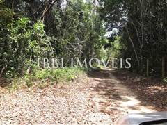 Land with great location and preserved vegetation. 4